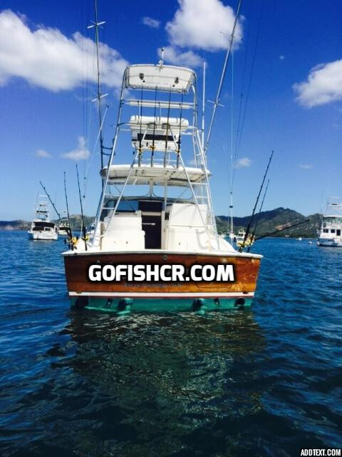 32ft Blackfin