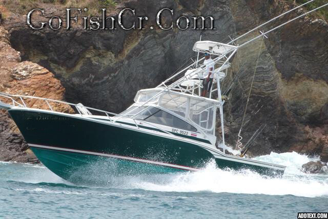 32ft Blackfin