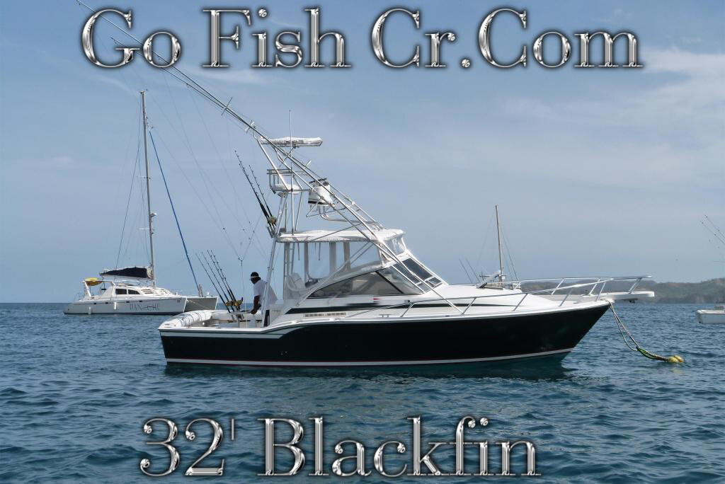 32ft Blackfin