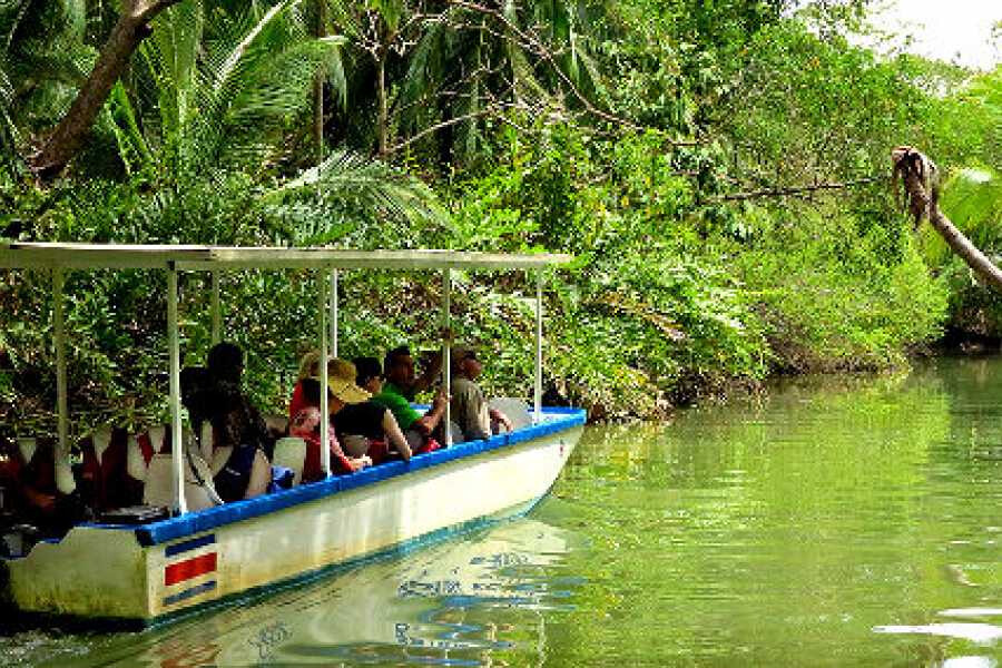 Estuary Tour Costa Rica