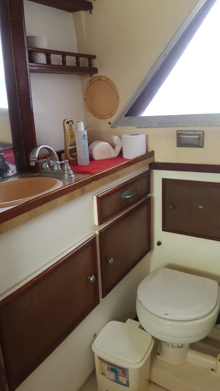 32' Phoenix Head