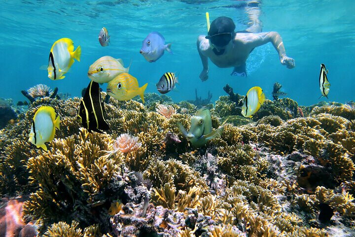 Snorkeling Costa Rica